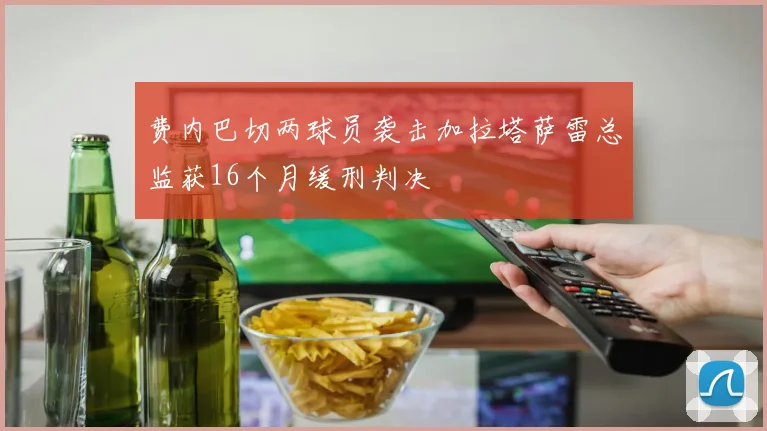 费内巴切两球员袭击加拉塔萨雷总监获16个月缓刑判决