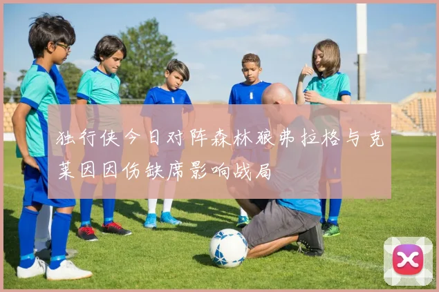独行侠今日对阵森林狼弗拉格与克莱因因伤缺席影响战局