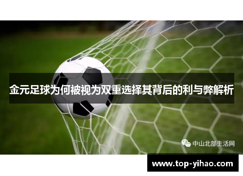 金元足球为何被视为双重选择其背后的利与弊解析