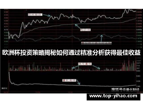 欧洲杯投资策略揭秘如何通过精准分析获得最佳收益