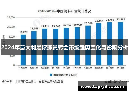 2024年意大利足球球员转会市场趋势变化与影响分析
