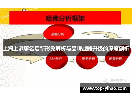 上海上港更名后新形象解析与品牌战略升级的深度剖析