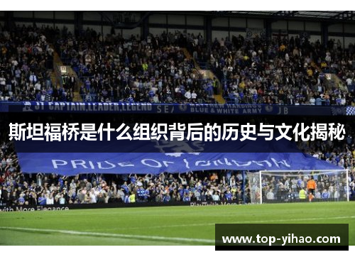 斯坦福桥是什么组织背后的历史与文化揭秘