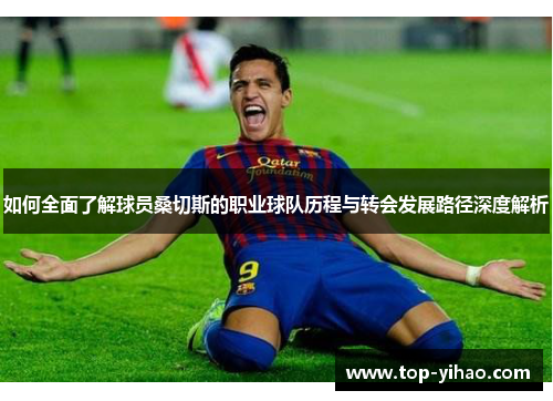 如何全面了解球员桑切斯的职业球队历程与转会发展路径深度解析
