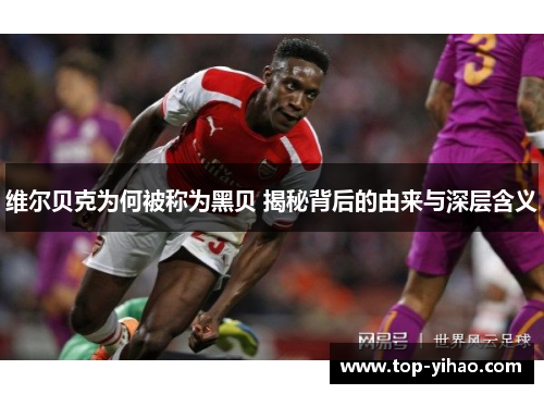 维尔贝克为何被称为黑贝 揭秘背后的由来与深层含义