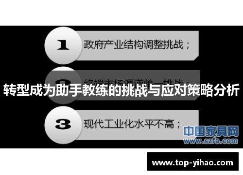 转型成为助手教练的挑战与应对策略分析